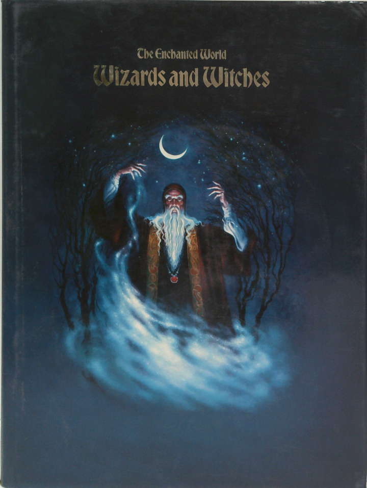 The Enchanted World: Wizards And Witches