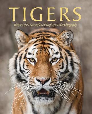 Tigers