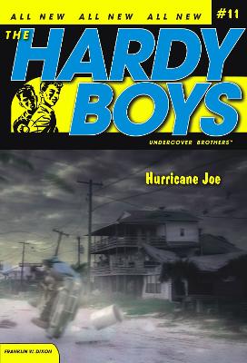 Hurricane Joe: Volume 11