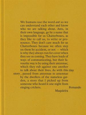 Fernando Maquieira: A Tiny Story