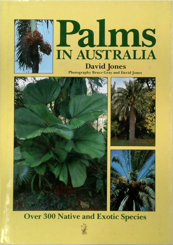 Palms in Australia