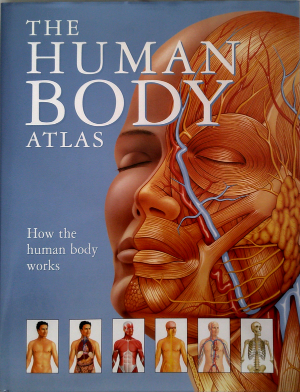 The Human Body Atlas