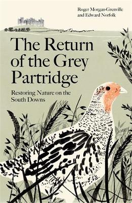 The Return of the Grey Partridge: Restoring Nature on the South Downs