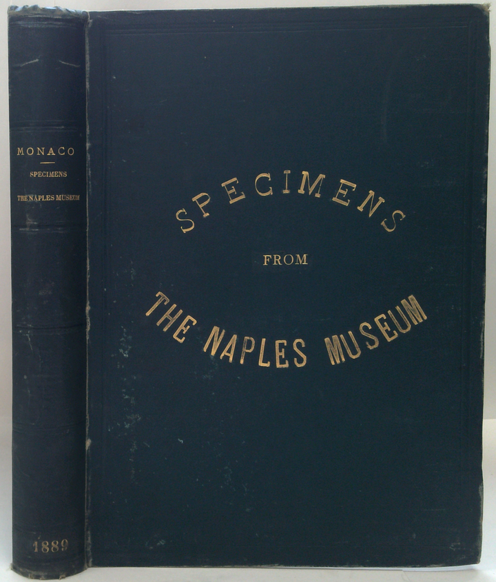Specimens From The Naples Museum
