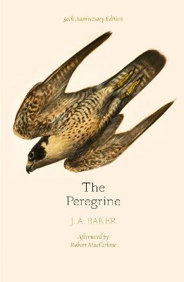 The Peregrine: 50th Anniversary Edition: Afterword by Robert