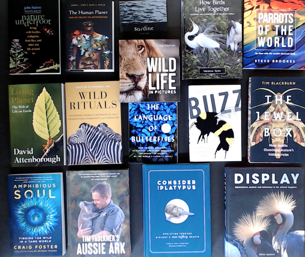 The Animal Kingdom & Nature Bargain Book Box