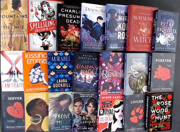 Page-Turner Bargain Book Box for Teens