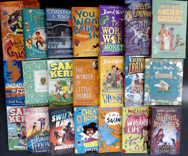 Chapter Book (Age 8-12) Clearance Bargain Book Box