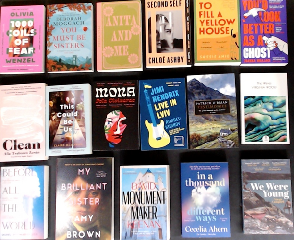 Literary Fiction Bargain Book Box