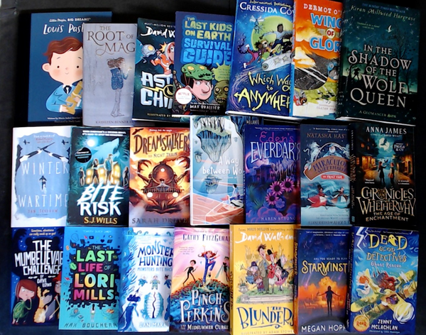 Kids Chaper Book (Age 8-12) Bargain Book Box