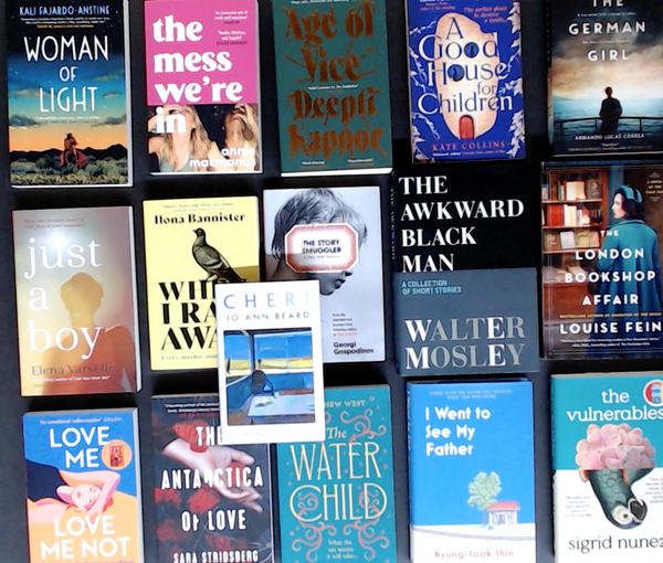 Summer Reads Fiction Bargain Book Box