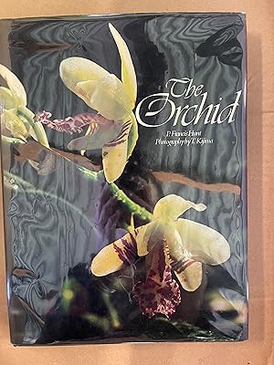 Orchid