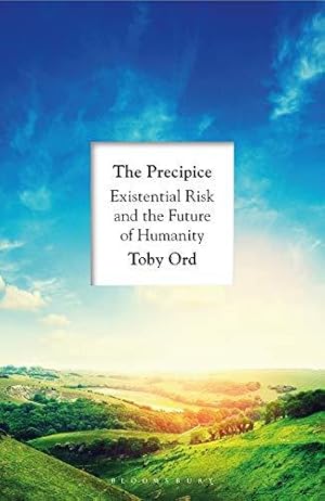 The Precipice: 'A book that seems made for the present moment' New Yorker