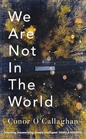 We Are Not in the World: 'compelling and profoundly moving' Irish Times