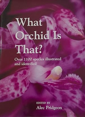 What Orchid is That?