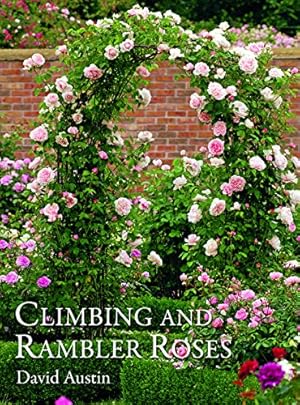 Climbing and Rambler Roses