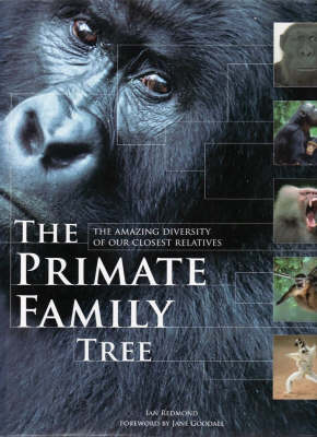 The Primate Family Tree: The Amazing Diversity of Our Closest Relatives