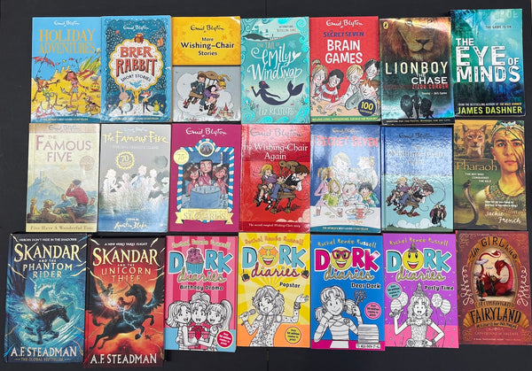 Secondhand Chapter Book (Age 8-12) Bargain Book Box SP2015