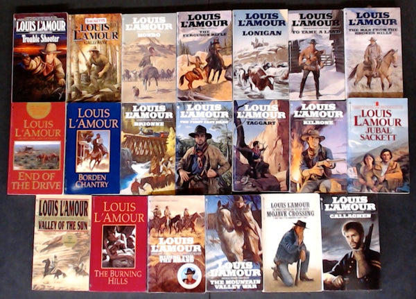 Secondhand  Westerns Bargain Book Box DSH2181