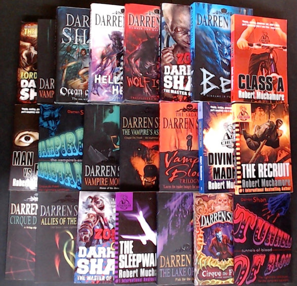 Secondhand Young Adult (Age 13+) Bargain Book Box SP2198