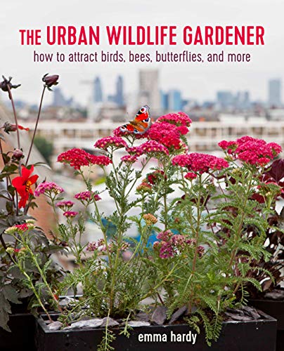 The Urban Wildlife Gardener How to Attract Bees