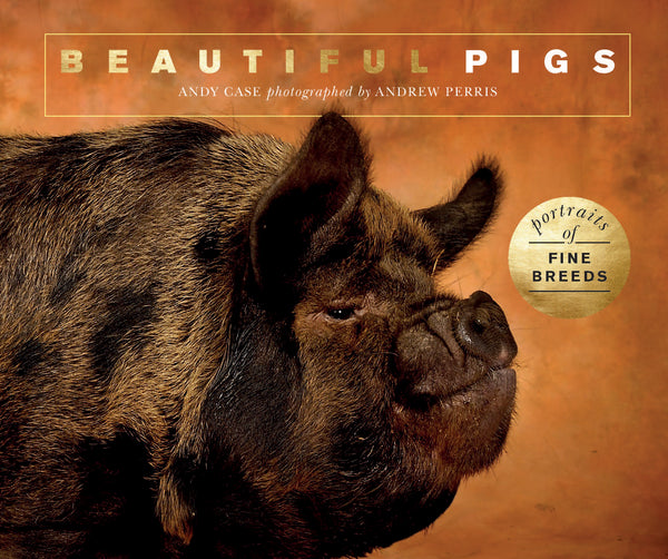 Beautiful Pigs: Portraits of champion breeds