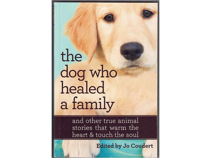 The Dog Who Healed A Family