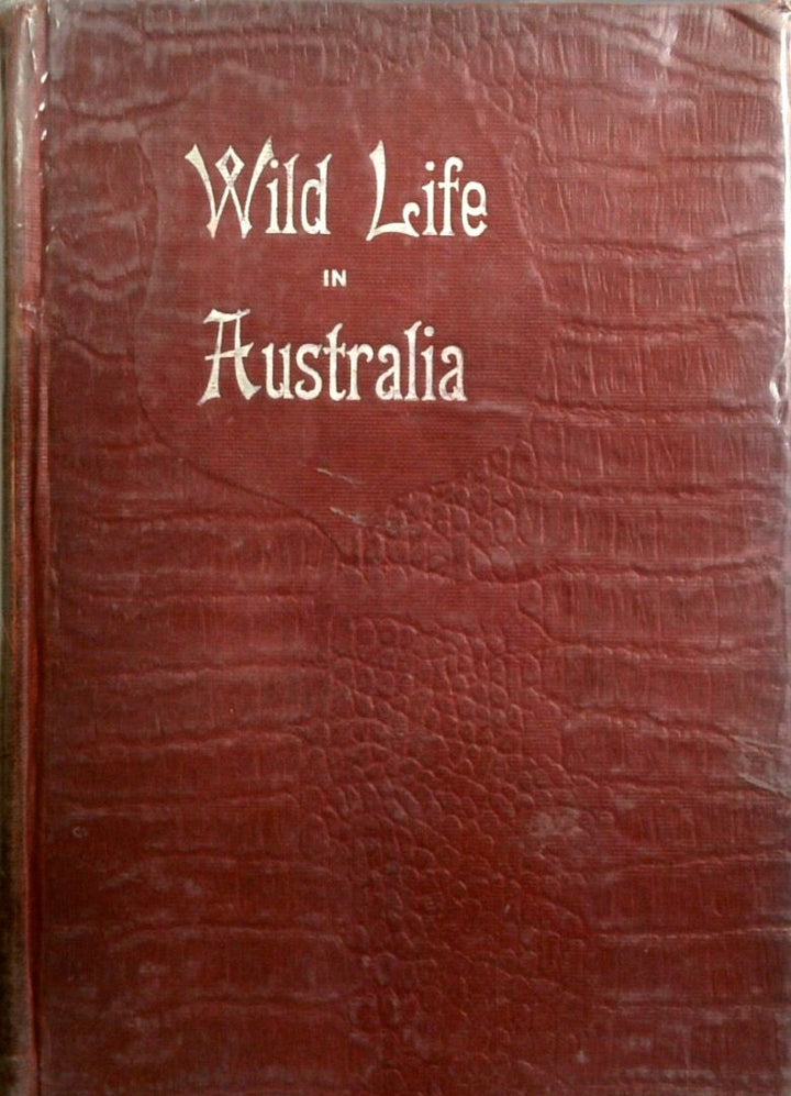 Wild Life In Australia