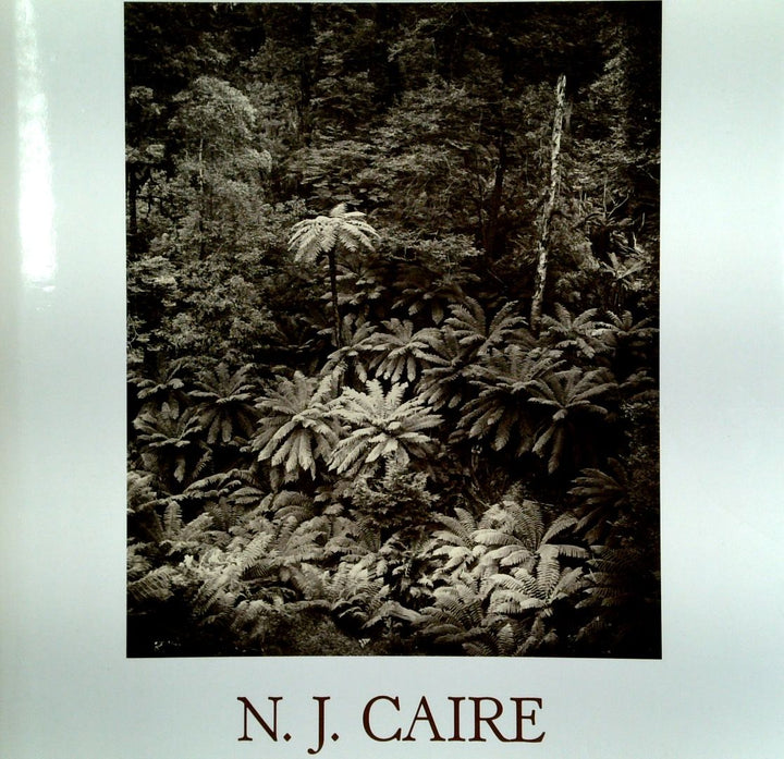 N.J. Caire: Landscape Photographer