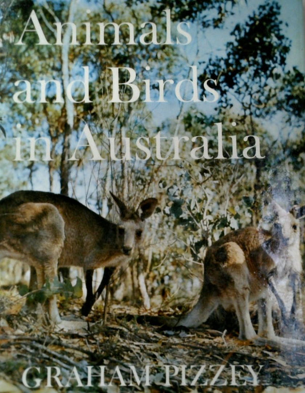 Animals and Birds in Australia