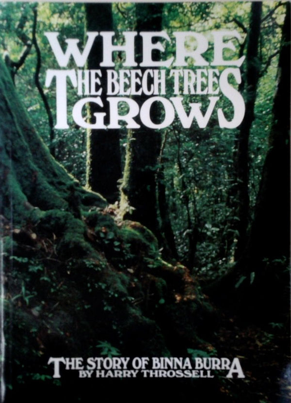 Where the Beech Tree Grows
