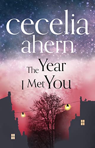 The Year I Met You