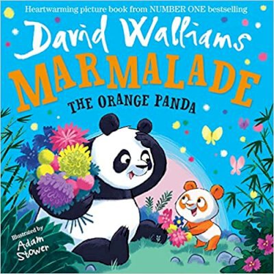 Marmalade: The Orange Panda