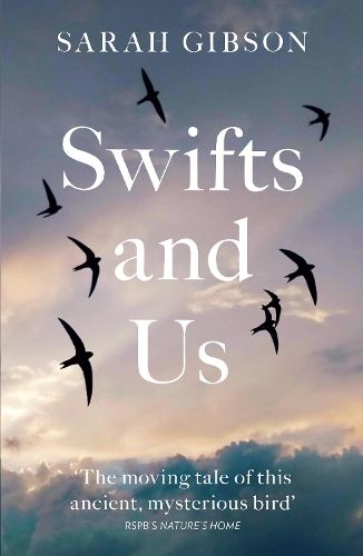 Swifts and Us: The Life of the Bird that Sleeps in the Sky