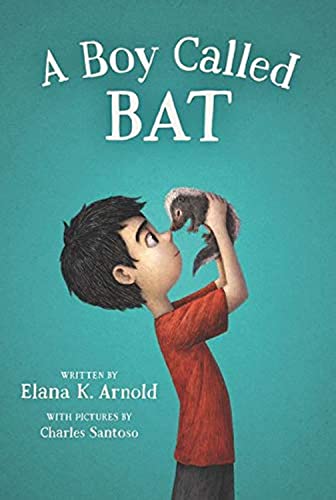 A Boy Called Bat