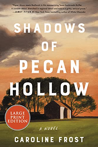 Shadows Of Pecan Hollow: A Novel [Large Print]