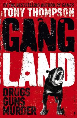 Gang Land: From footsoldiers to kingpins, the search for Mr Big