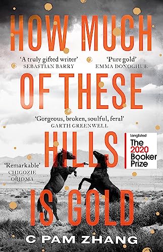 How Much of These Hills is Gold: 'A tale of two sisters during the gold rush ... beautifully written' The i, Best Books of the Year