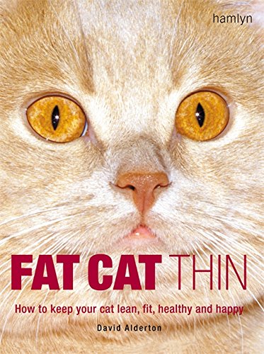Fat Cat Thin How to Keep Your Cat Lean