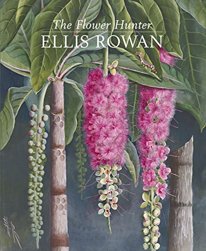 The Flower Hunter: Ellis Rowan