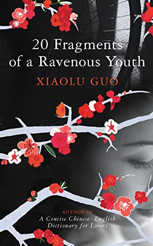 20 Fragments of a Ravenous Youth