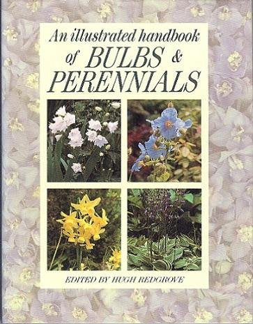 An Illustrated Handbook Of Bulbs & Perennials