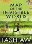 Map of the Invisible World