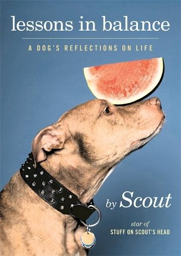 Lessons in Balance: A Dog's Reflections on Life