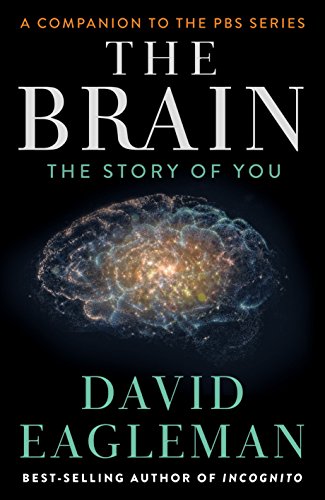 The Brain: The Story of You