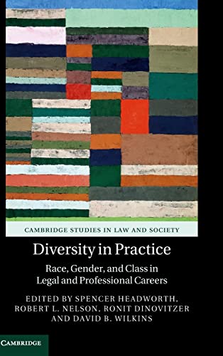 Diversity in Practice: Race, Gender, and Class in Legal and Professional Careers