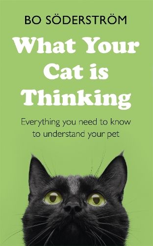 What Your Cat Is Thinking: Everything you need to know to understand your pet