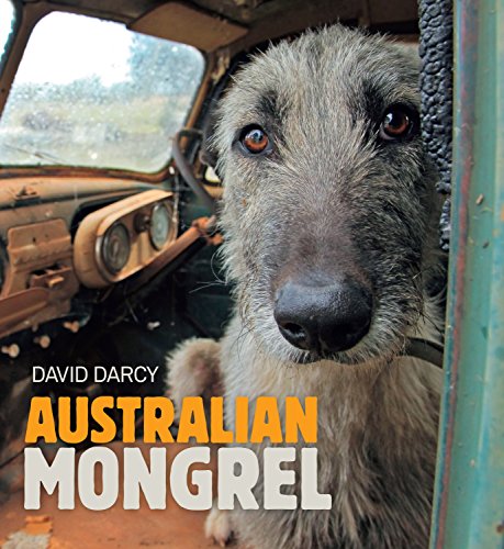 Australian Mongrel