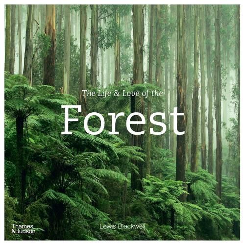 The Life & Love of the Forest