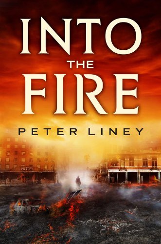 Into The Fire: The Detainee Book 2